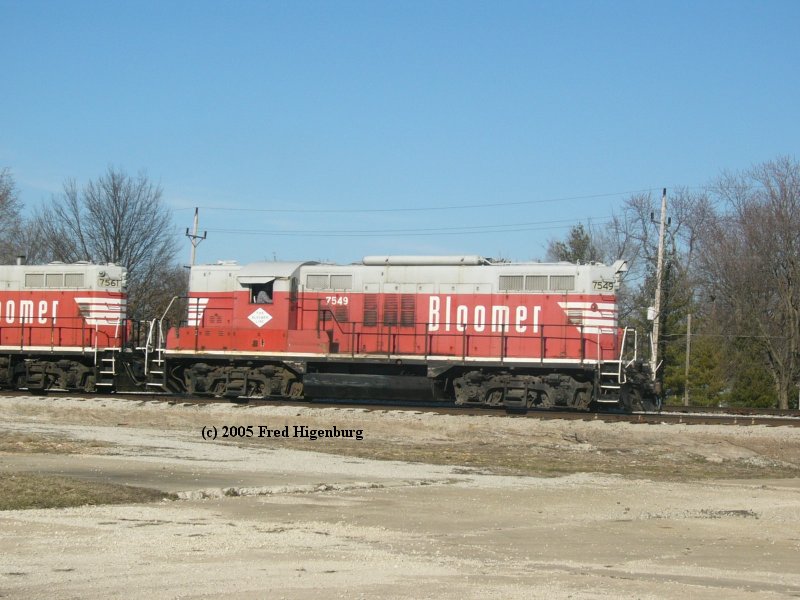 Bloomer #7549