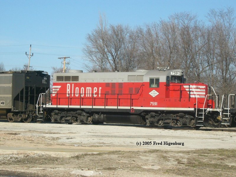 Bloomer #7591